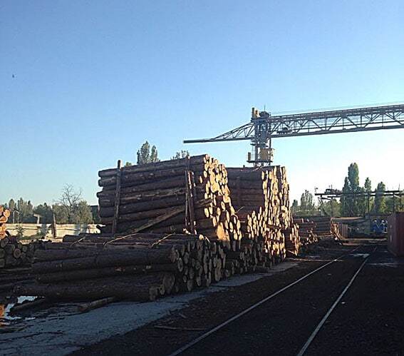 На Одесщине полиция разоблачила незаконную схему экспорта леса. Опубликованы фото