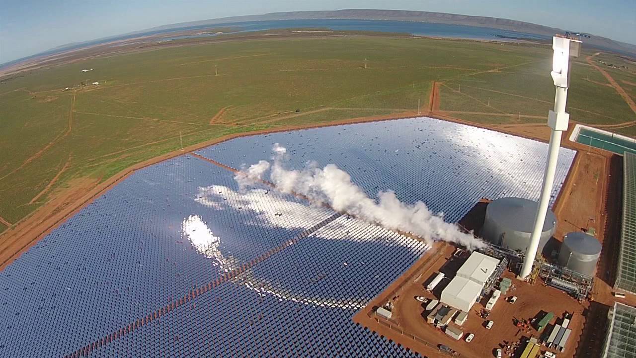 В австралийской пустыне выращивают овощи с помощью солнечной энергии: видео