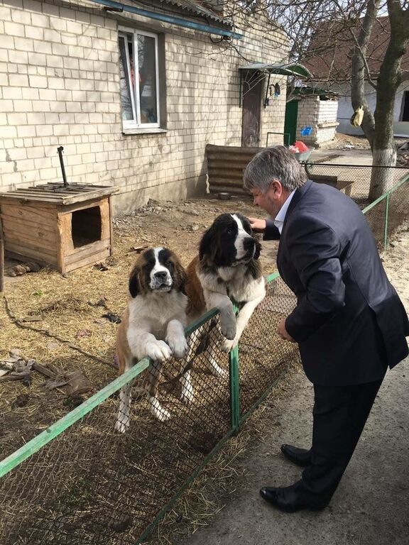 Чи можуть браконьєри безкарно вбивати людей?