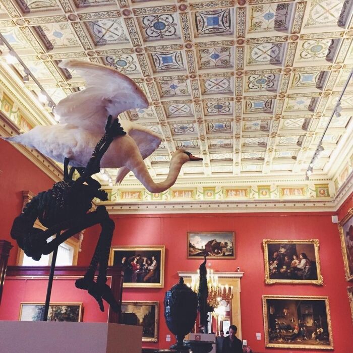 В России вспыхнул скандал вокруг выставки с чучелами животных в Эрмитаже