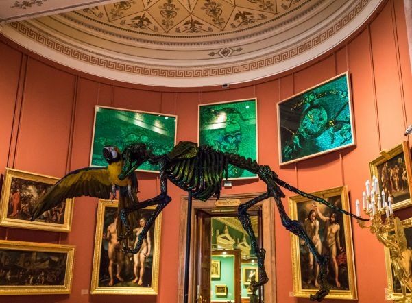 В России вспыхнул скандал вокруг выставки с чучелами животных в Эрмитаже