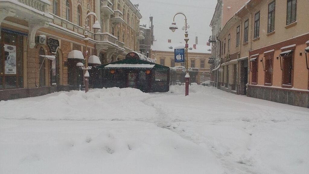 Зима в ноябре: Ивано-Франковск завалило снегом. Потрясающие фото