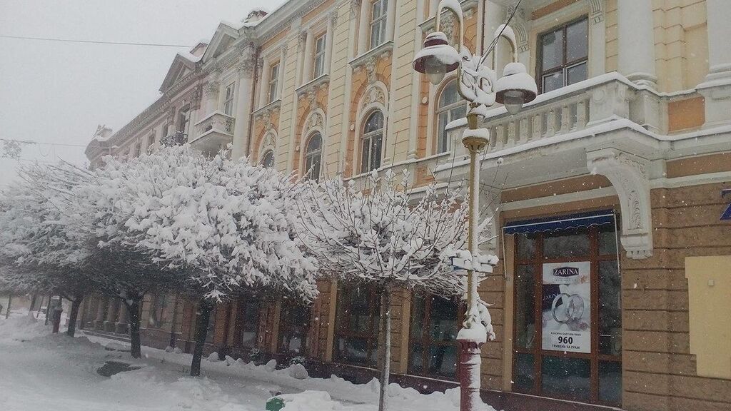 Зима в ноябре: Ивано-Франковск завалило снегом. Потрясающие фото