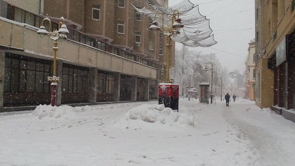 Зима в ноябре: Ивано-Франковск завалило снегом. Потрясающие фото