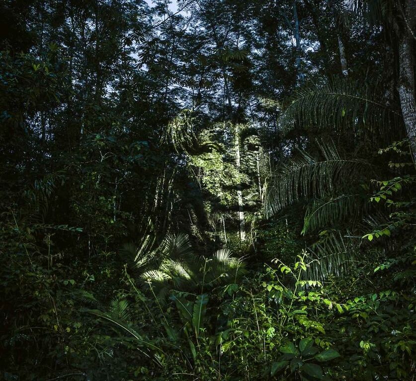 Экологический стрит-арт: художник рисует светом в амазонских джунглях