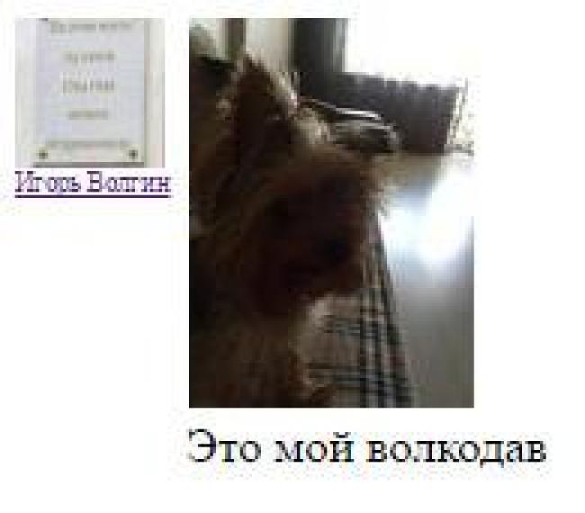 "Спалила" дочь с собакой: "Миротворец" вычислил на Донбассе российского наемника-садиста. Опубликованы фото
