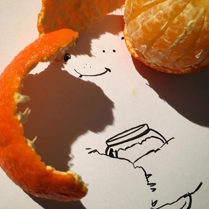 Як яблуко перетворюється в сову: художник із Бельгії створює унікальні картинки з тіні 