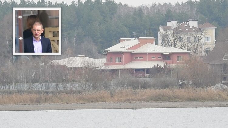 Розовый дом у озера: стало известно о поместье Пашинского на Киевщине