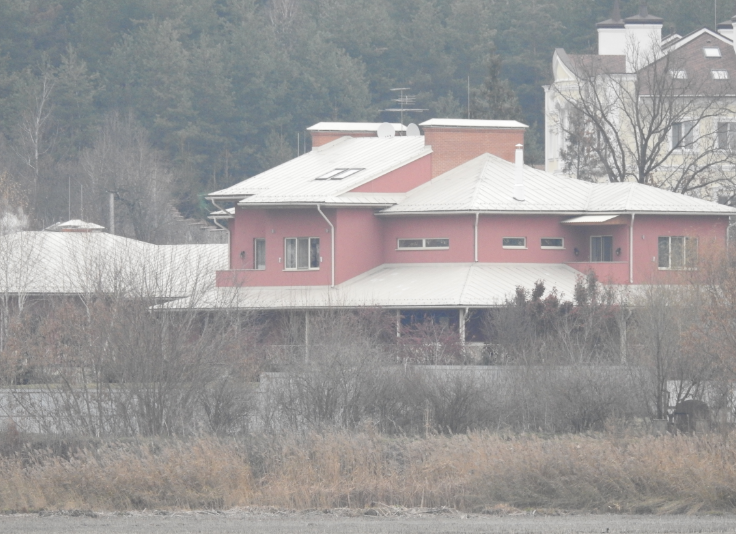 Рожевий будинок біля озера: стало відомо про маєток Пашинського на Київщині