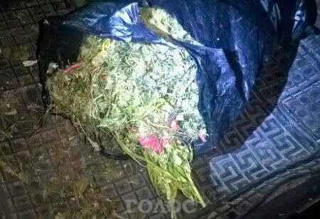 Запорожские патрульные устроили погоню за вооруженными наркоманами