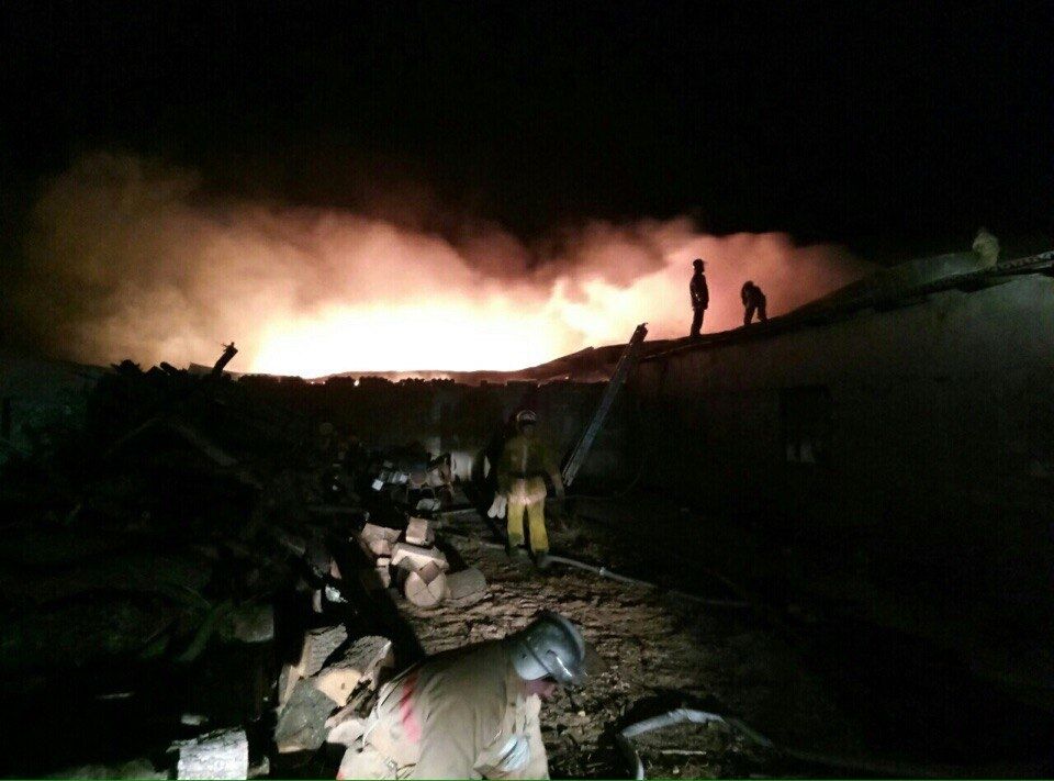 В Запорожской области произошел масштабный пожар: горел склад с пиломатериалами