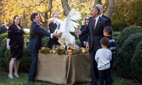 День благодарения в США: Обама-президент в последний раз помиловал индейку