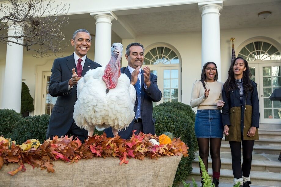 День благодарения в США: Обама-президент в последний раз помиловал индейку
