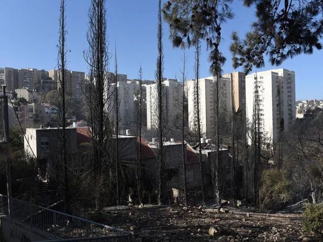 Огненный террор в Израиле: жуткие фото последствий