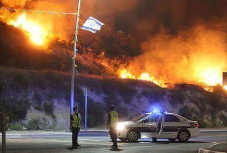 Вогняний терор в Ізраїлі: моторошні фото наслідків