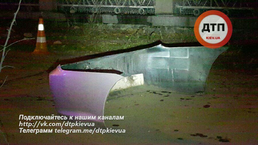 Авто "влетело" в забор зоопарка: опубликованы фото с места жуткого смертельного ДТП в Киеве
