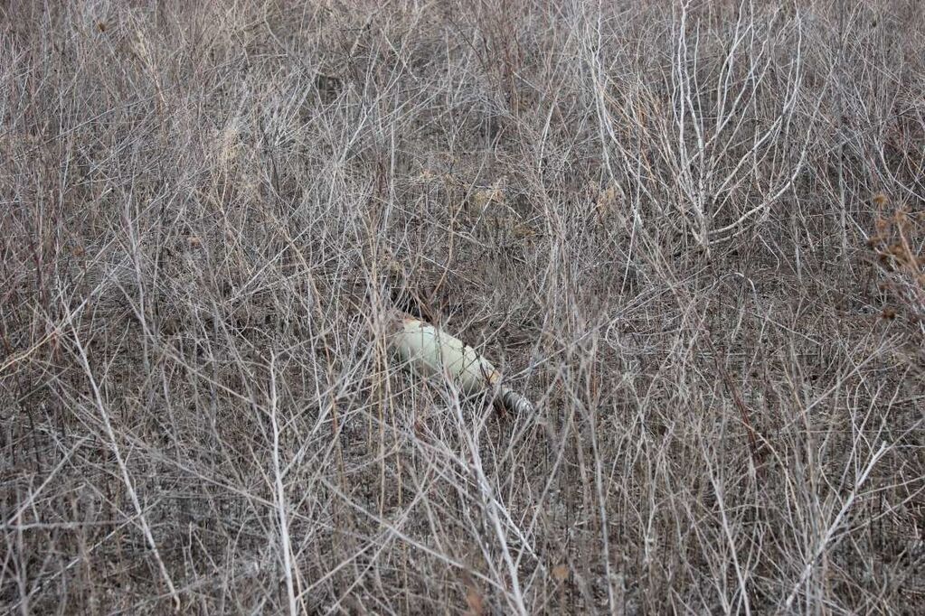 Зв’язківці про "режим тиші" на Донбасі: гаряче, ворог не відмовився від своїх намірів