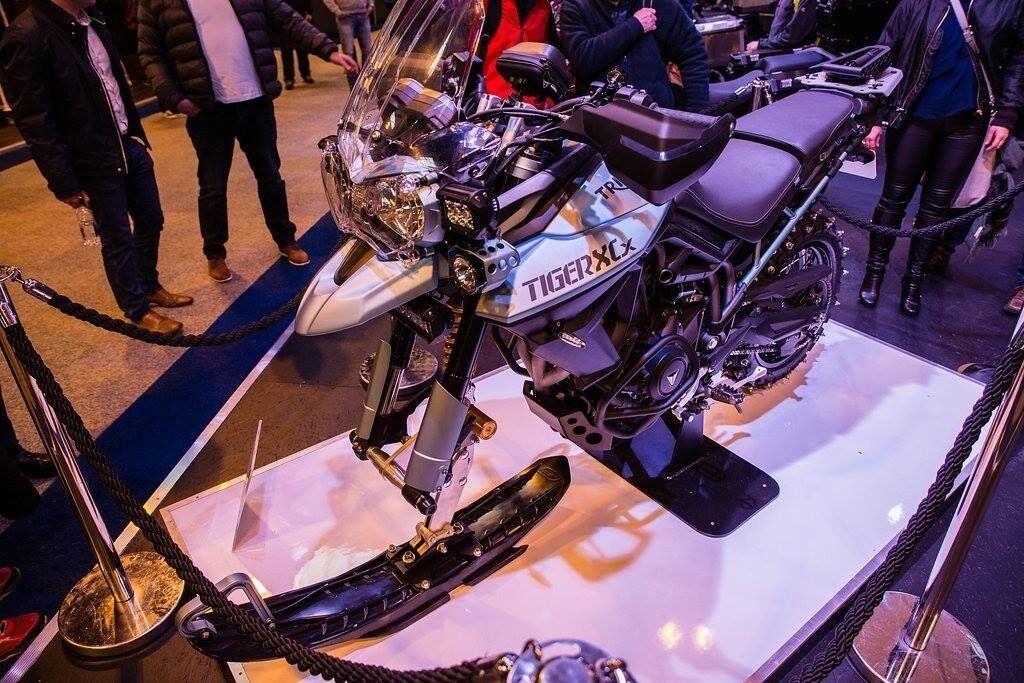 Triumph представил мотоцикл для зимы: фото