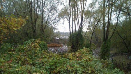На Закарпатті сильні зливи затопили Боздоський парк