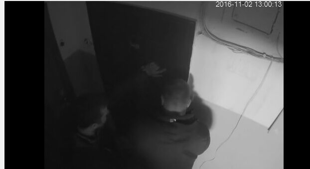 У соцмережі з'явилося відео нахабного пограбування квартири у Києві