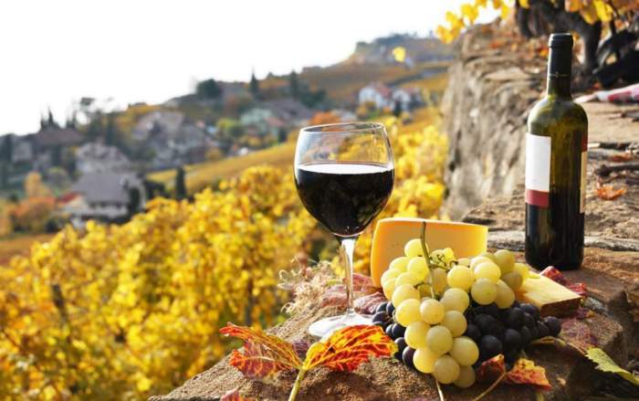 Божоле-нуво: ноябрьский праздник молодого вина во Франции