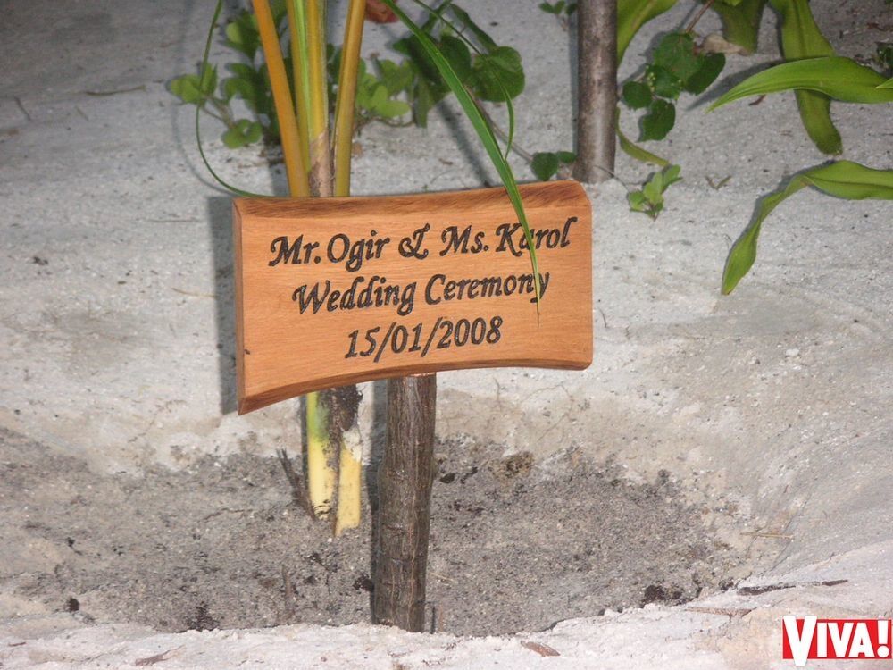 Тина Кароль впервые поделилась трогательными снимками со свадьбы на Мальдивах