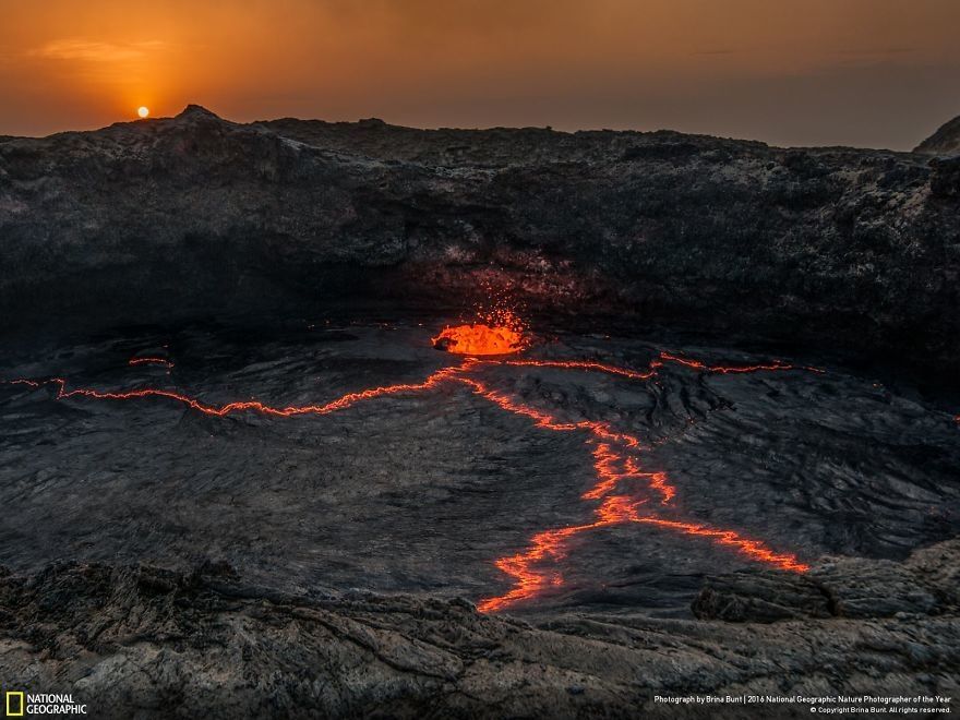 Опубликованы фантастические снимки природы с фотоконкурса National Geographic