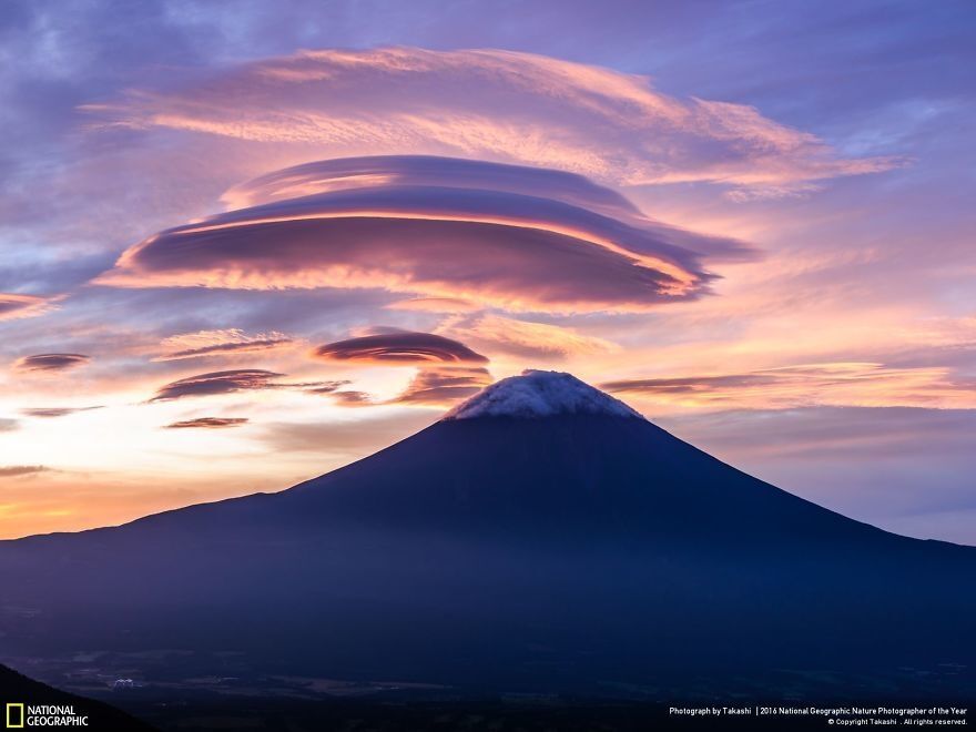 Опубликованы фантастические снимки природы с фотоконкурса National Geographic