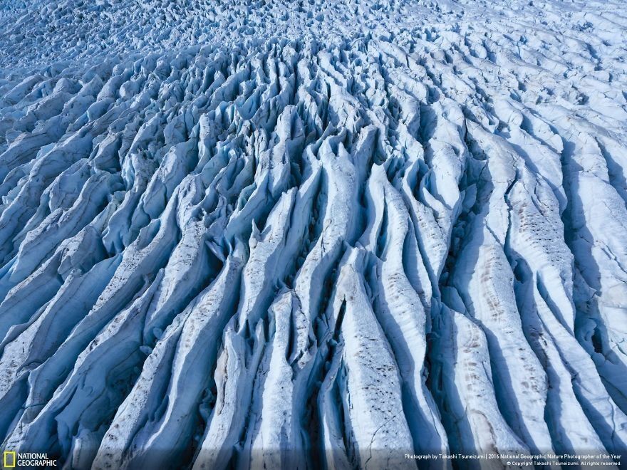 Опубликованы фантастические снимки природы с фотоконкурса National Geographic