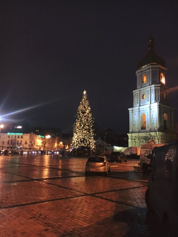 В сети появились свежие фото главной новогодней елки Украины