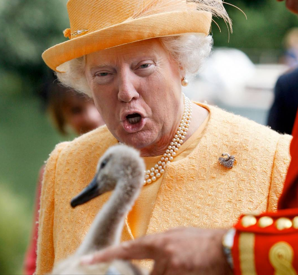 "Схрестив" Трампа і королеву Великобританії: дизайнер вразив мережу незвичайними фото