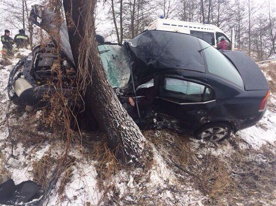 Смертельна ДТП під Вінницею: нацгвардієць злетів із траси і врізався в дерево