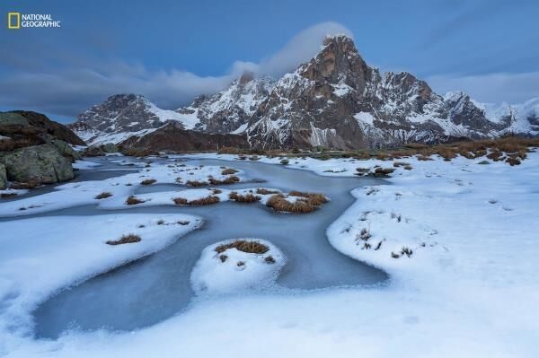 National Geographic опубликовал лучшие снимки дикой природы в 2016 году