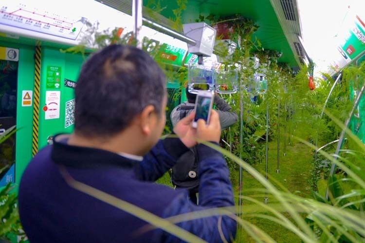В Китае сделали "ботанический сад" в одном из вагонов метро: фото и видео