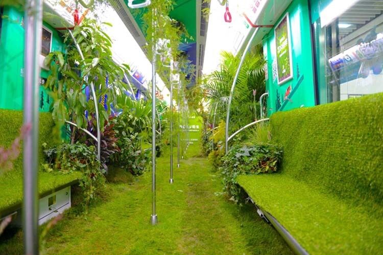 В Китае сделали "ботанический сад" в одном из вагонов метро: фото и видео