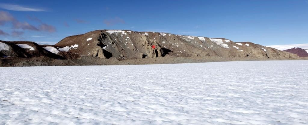В Антарктиде найдены очень ценные окаменелости возрастом 14 млн лет: фото