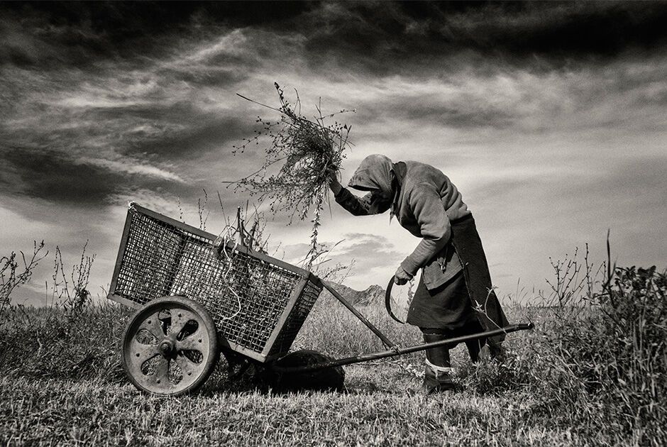 Конкурс тревел-фотографії 2016: опублікували найкращі фото з подорожей