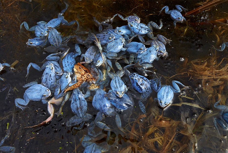 Конкурс тревел-фотографії 2016: опублікували найкращі фото з подорожей