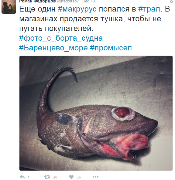 Російський моряк вразив соцмережі фотографіями спійманих ним страшних риб