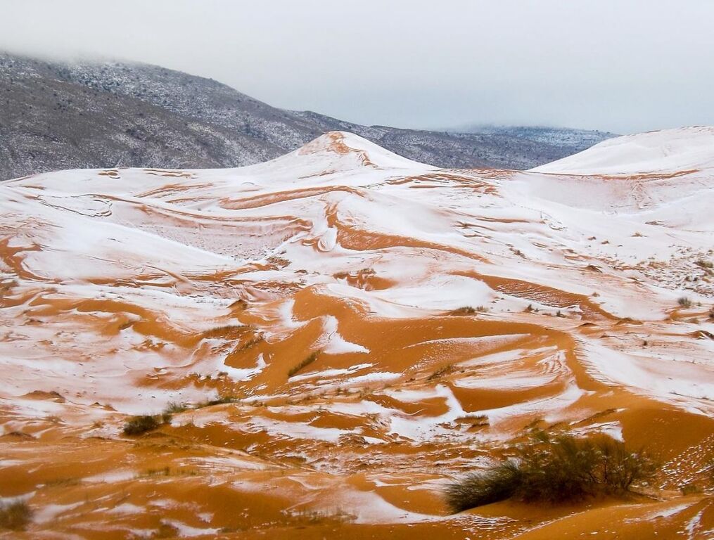 Вперше за 40 років: пустелю Сахара засипало снігом