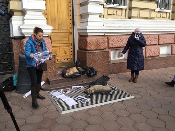 Война с живодерами: в Одессе зоозащитники обложили здание облполиции трупами собак