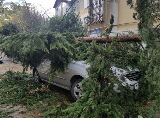 Ветер, дождь и снег: в сети показали последствия непогоды в Крыму