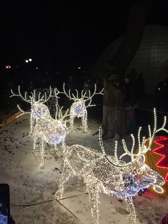 Мариинский парк в Киеве стал по-новогоднему сказочным: опубликованы фото