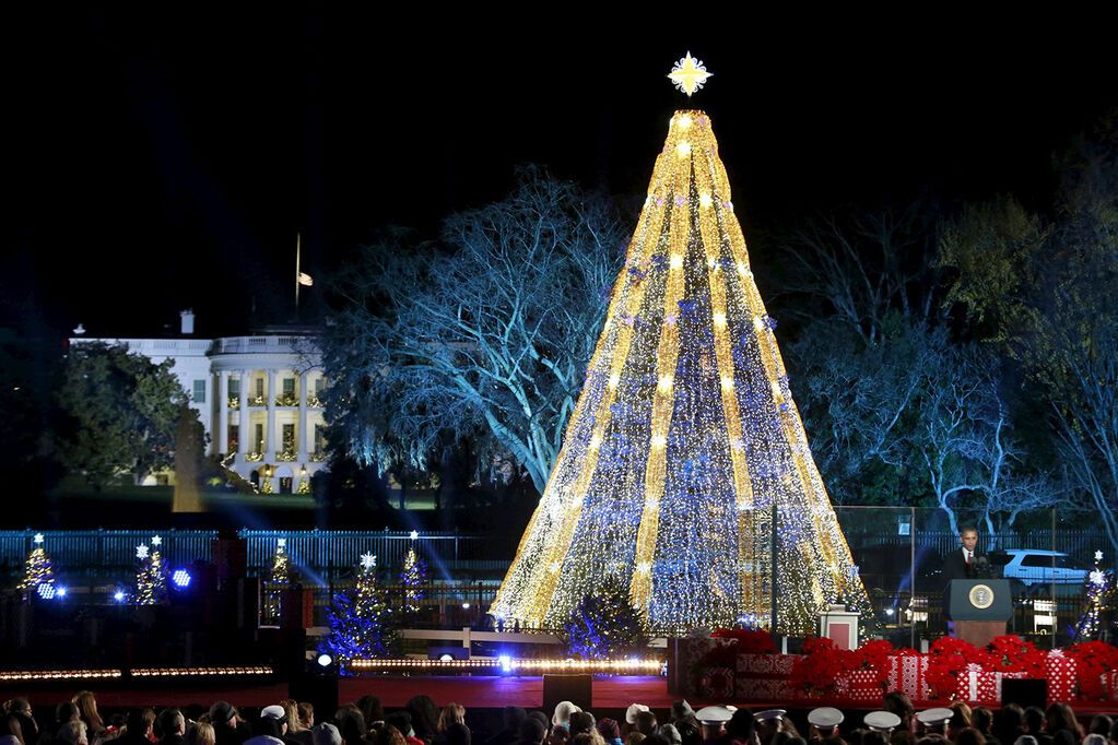 Праздник приближается: подборка самых красивых новогодних елок в мире