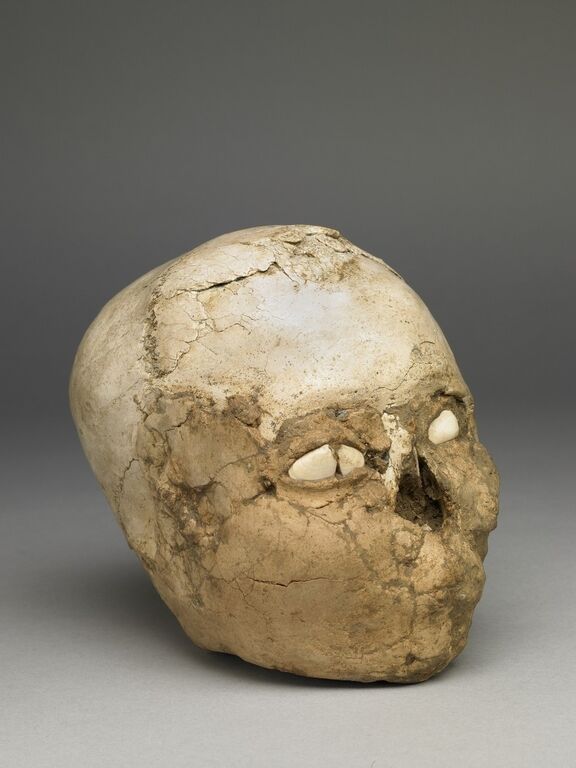 В Британии воссоздали облик древнего человека по загадочному черепу