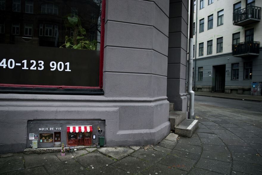 Anonymouse: шведы открыли невероятный магазин для мышей