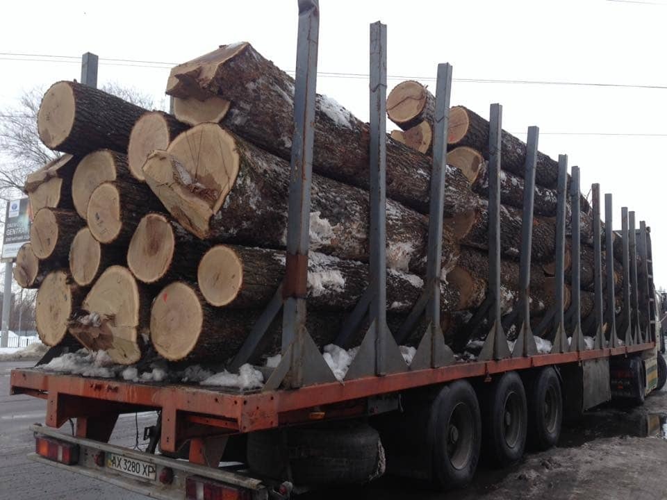 Встигнути до 2017 року: ліс з України вивозять цілими ешелонами. Фотофакт
