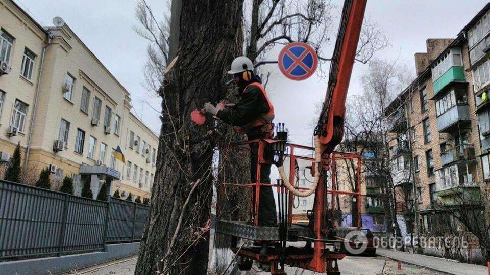 Готуються до весни: у всіх районах Києва проводять санітарну обрізку дерев