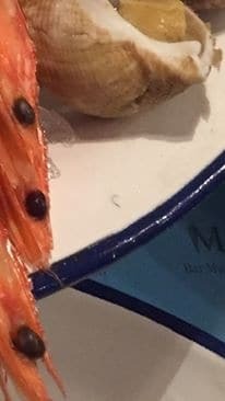 Устрицы с глистами: во львовском ресторане разразился скандал из-за "деликатеса"