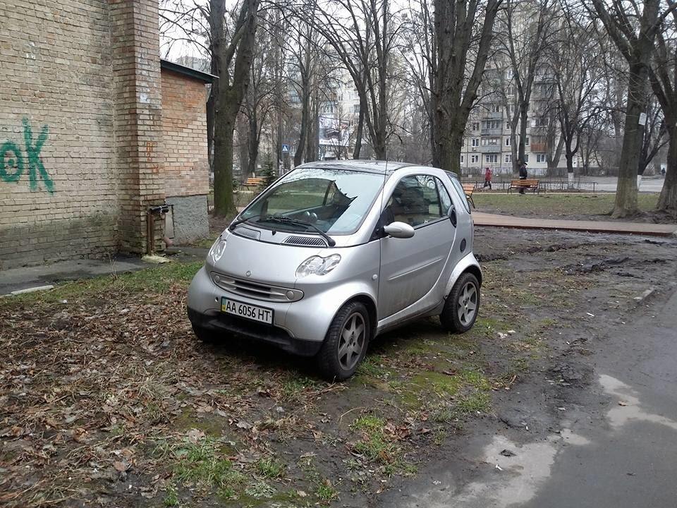 В Киеве на газоне засекли героиню парковки: фотофакт